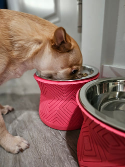 Santa Fe Elevated Dog Bowl