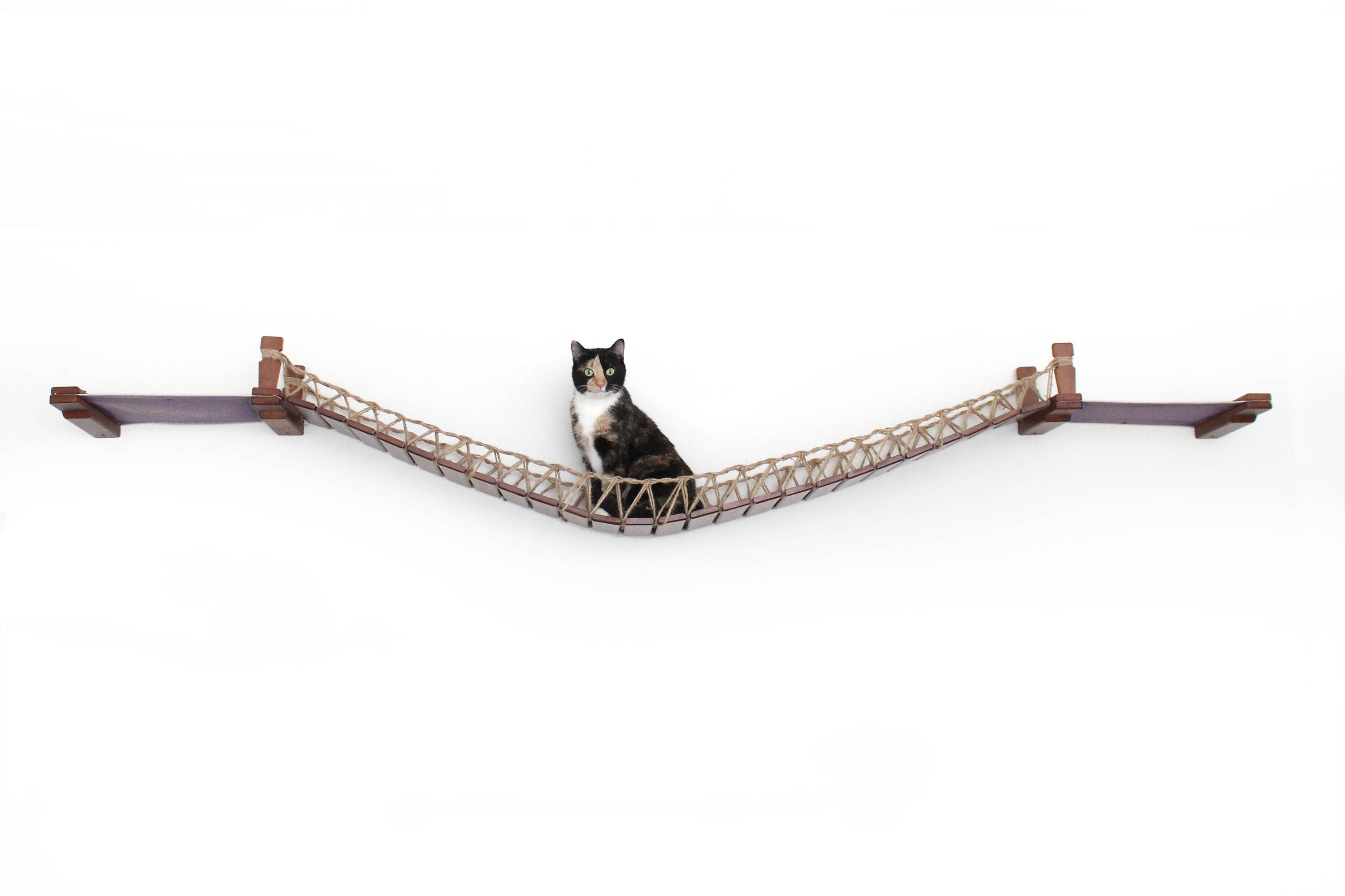 Double Cat Hammock and Climbing Bridge Combo