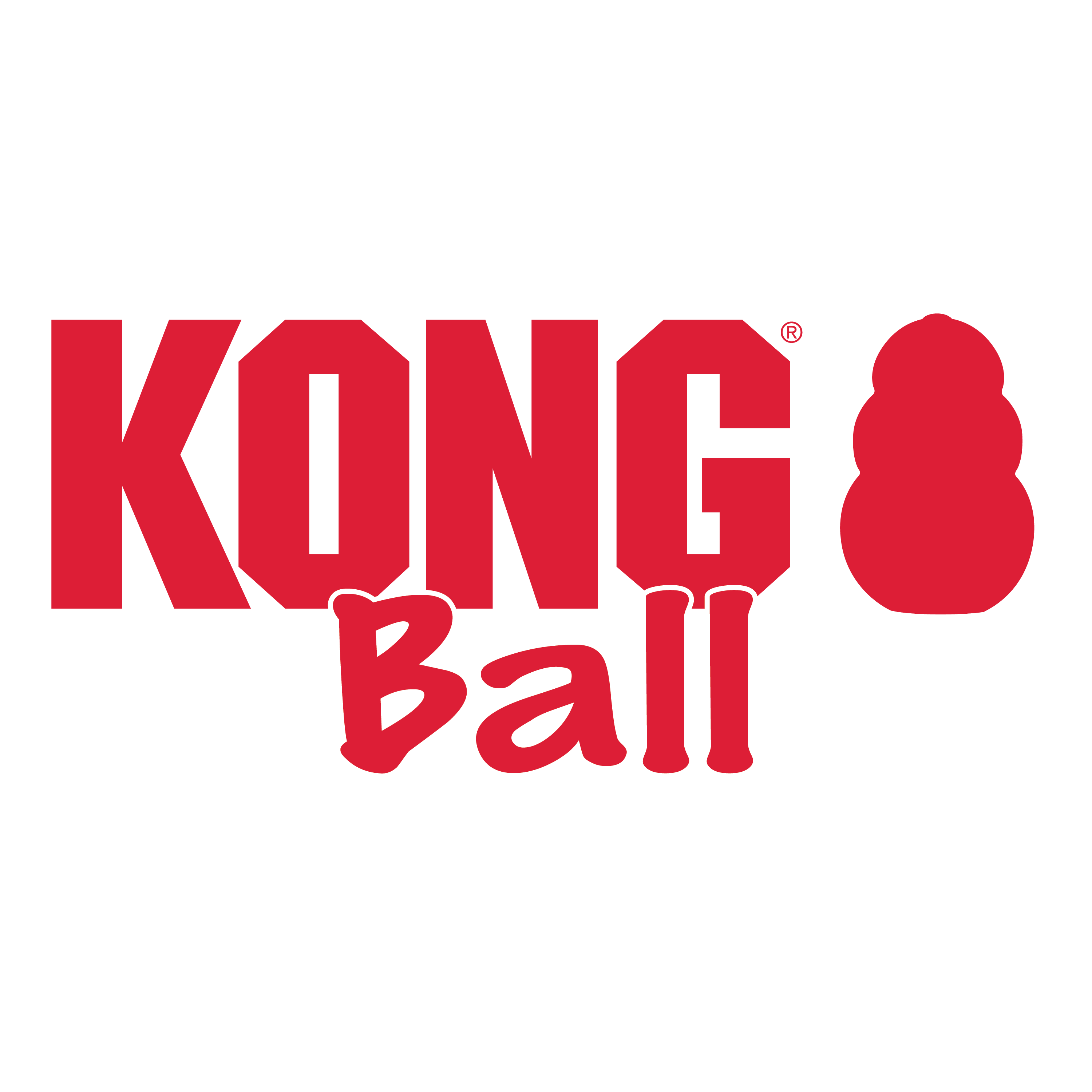 Kong Ball with Hole Small