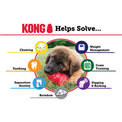 Kong Red Classic Medium