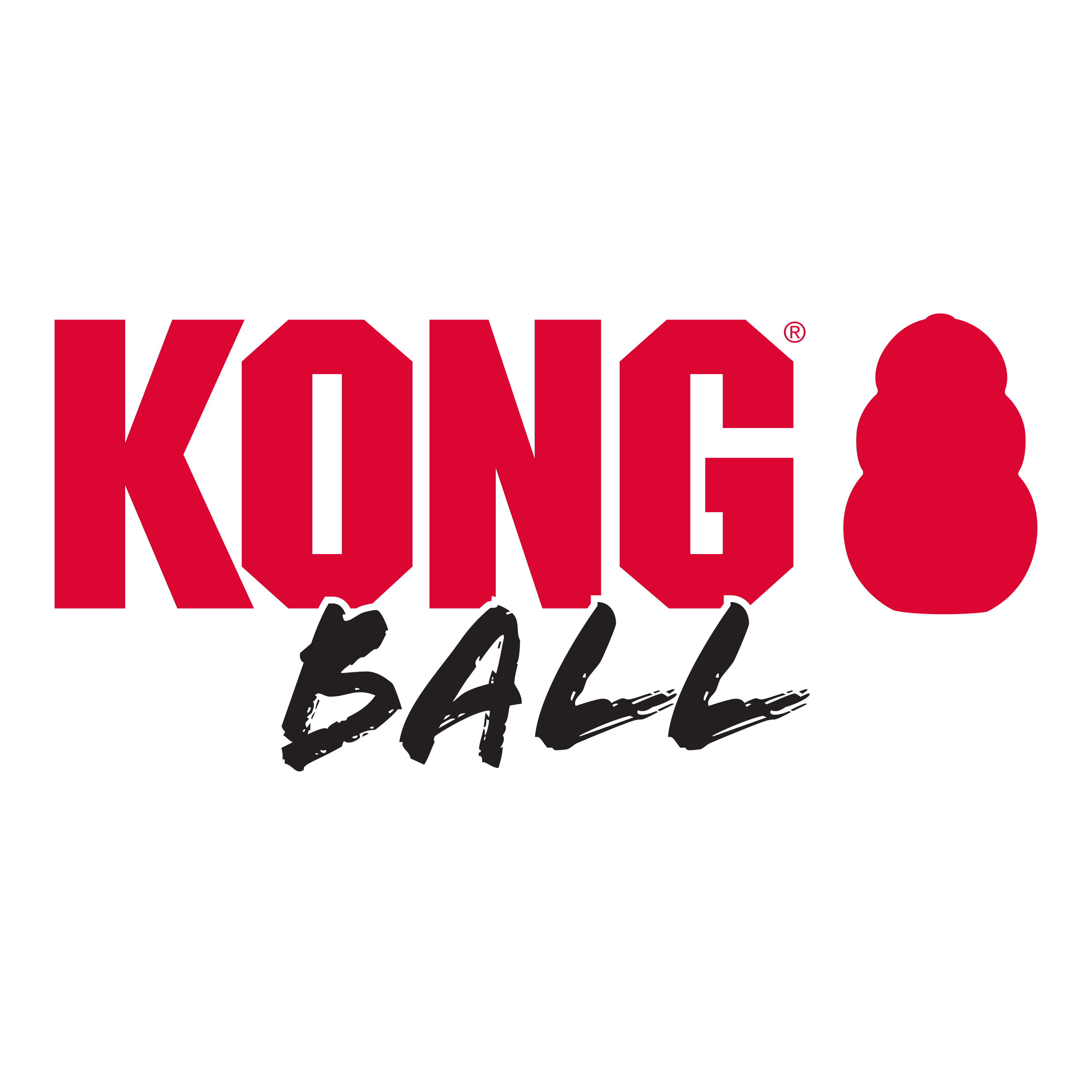 Kong Extreme Ball Small