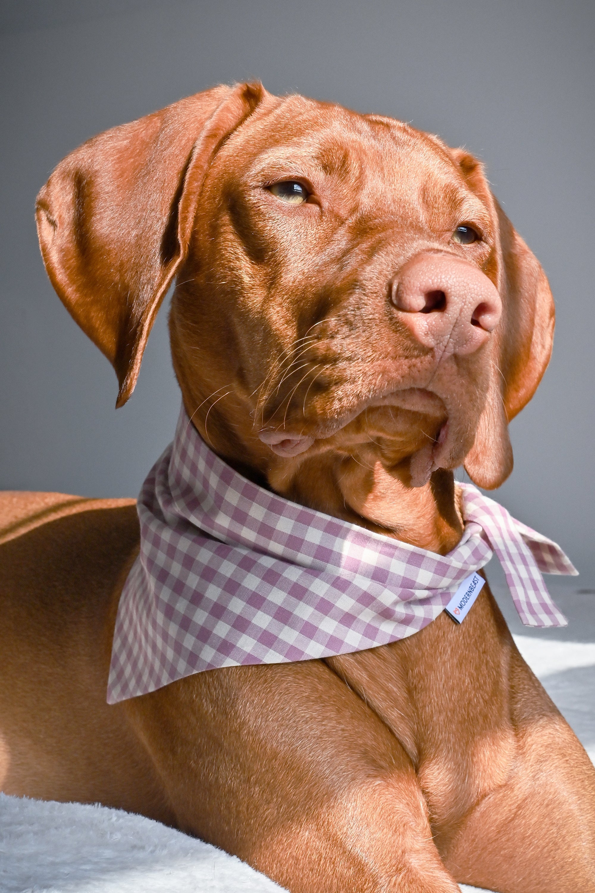 GINGHAM BANDANA