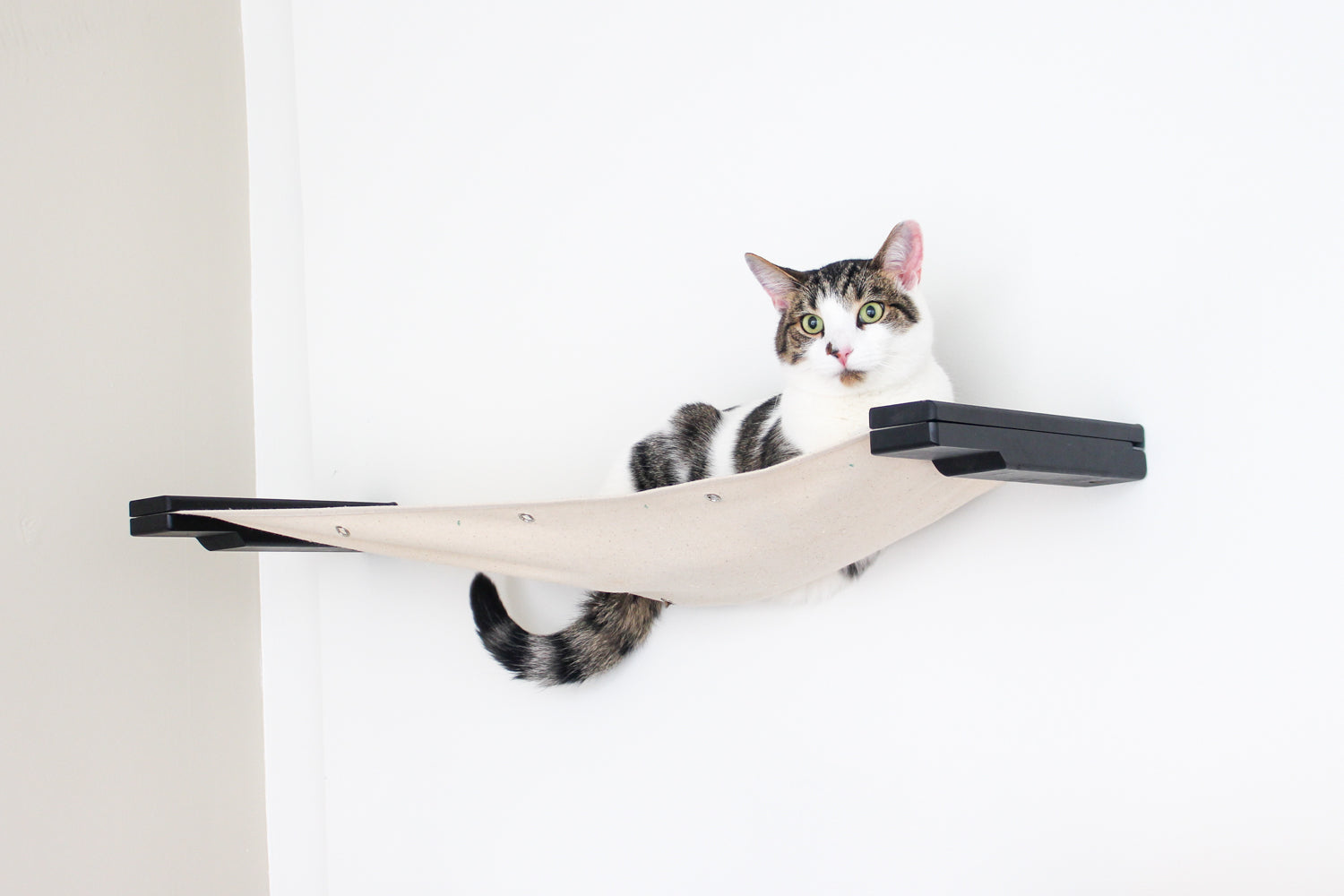 Hanging Cat Bed Hammock