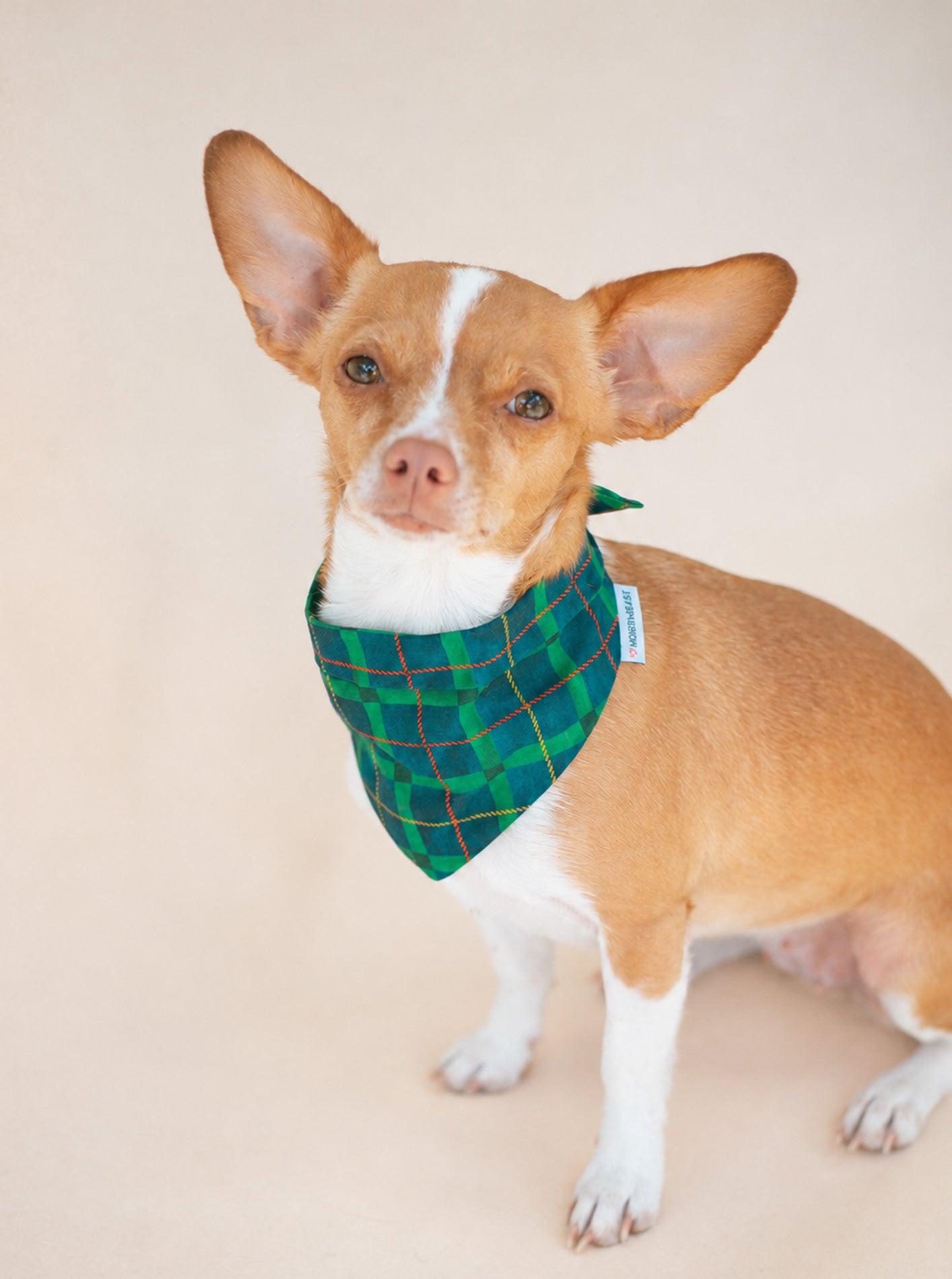 PLAID & WINTER BANDANAS