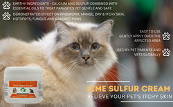 Healthy Paw Life - Lime Sulfur Pet Skin Cream