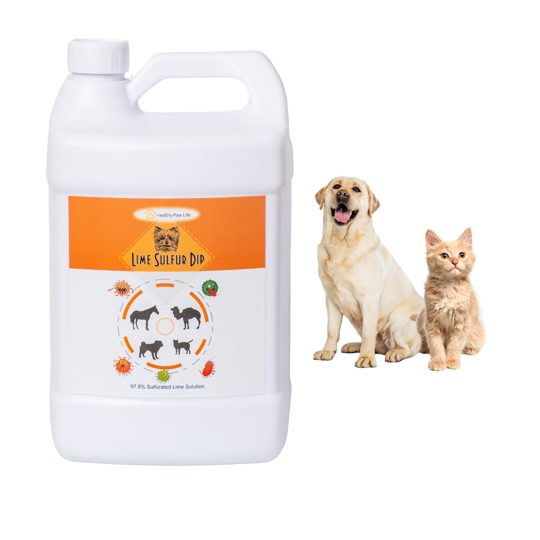 Healthy Paw Life: Lime Sulfur Dip - Pet Care for Itchy and Dry Skin - Xtra Strength Formula - Safe Solution for Dog, Cat, Puppy, Kitten, Horse