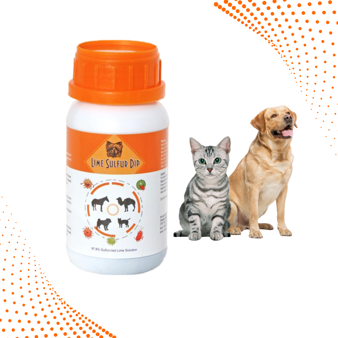 Lime Sulfur Dip – Concentrated Sulfur Solution for Itchy Skin, Mange, Ringworm & Dermatitis – Safe for Dogs, Cats, Puppies, Kittens, Horses, and Livestock