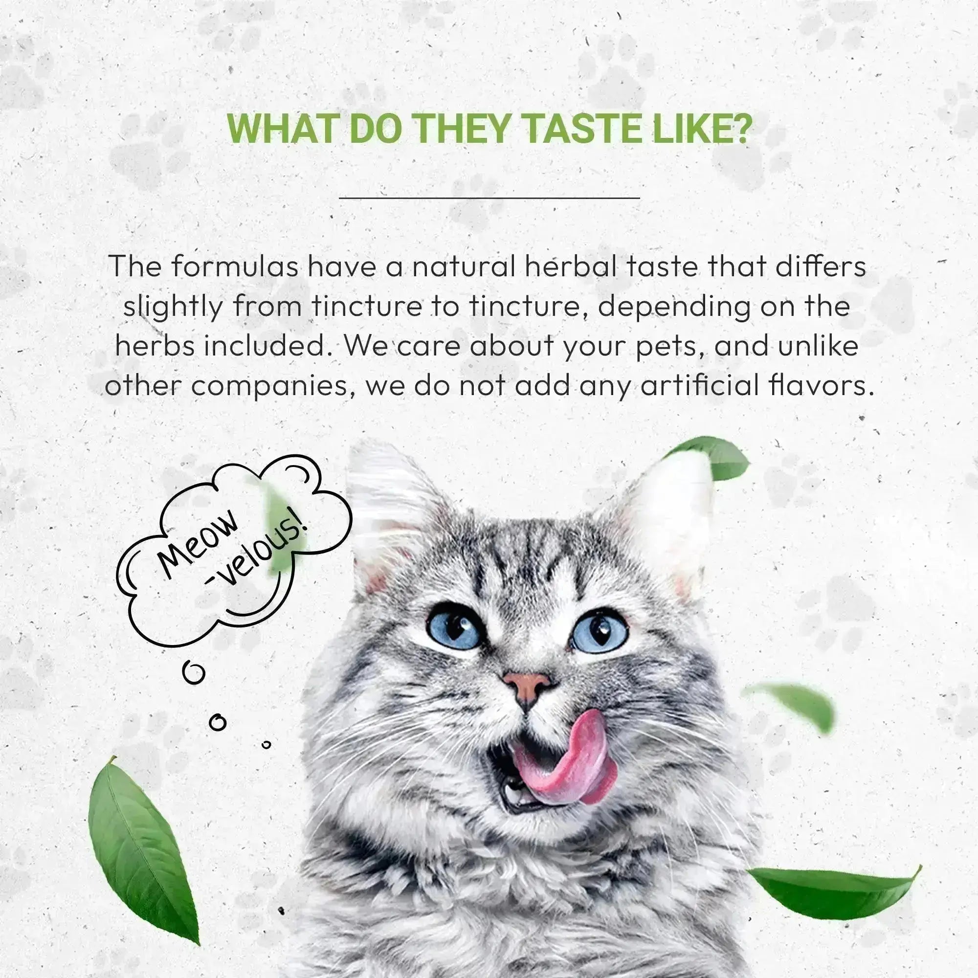 Lion's Respiratory - Healthy Respiratory System Support in Cats