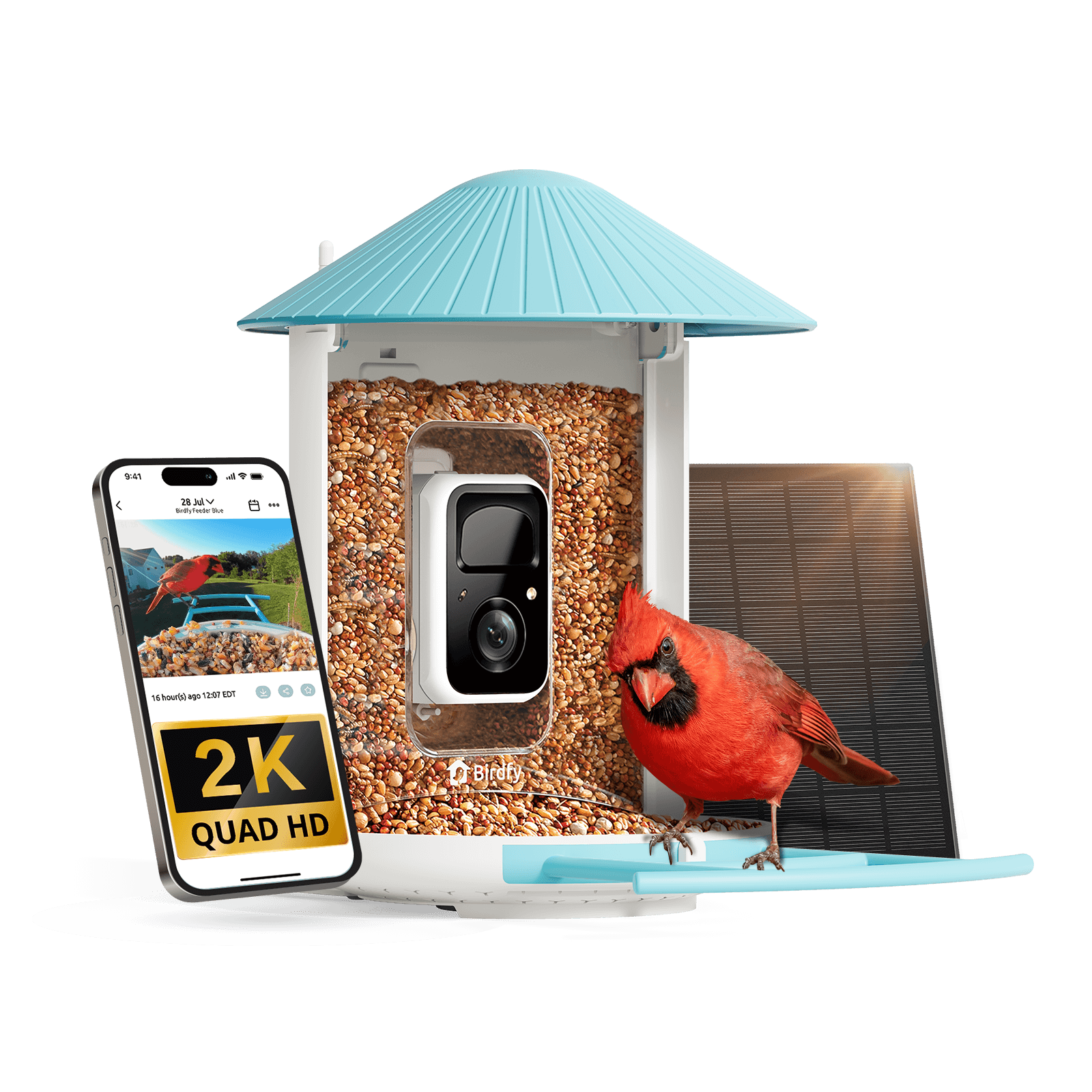 Birdfy Feeder with Solar Panel - Solar-Powered Smart Bird Feeder with Camera