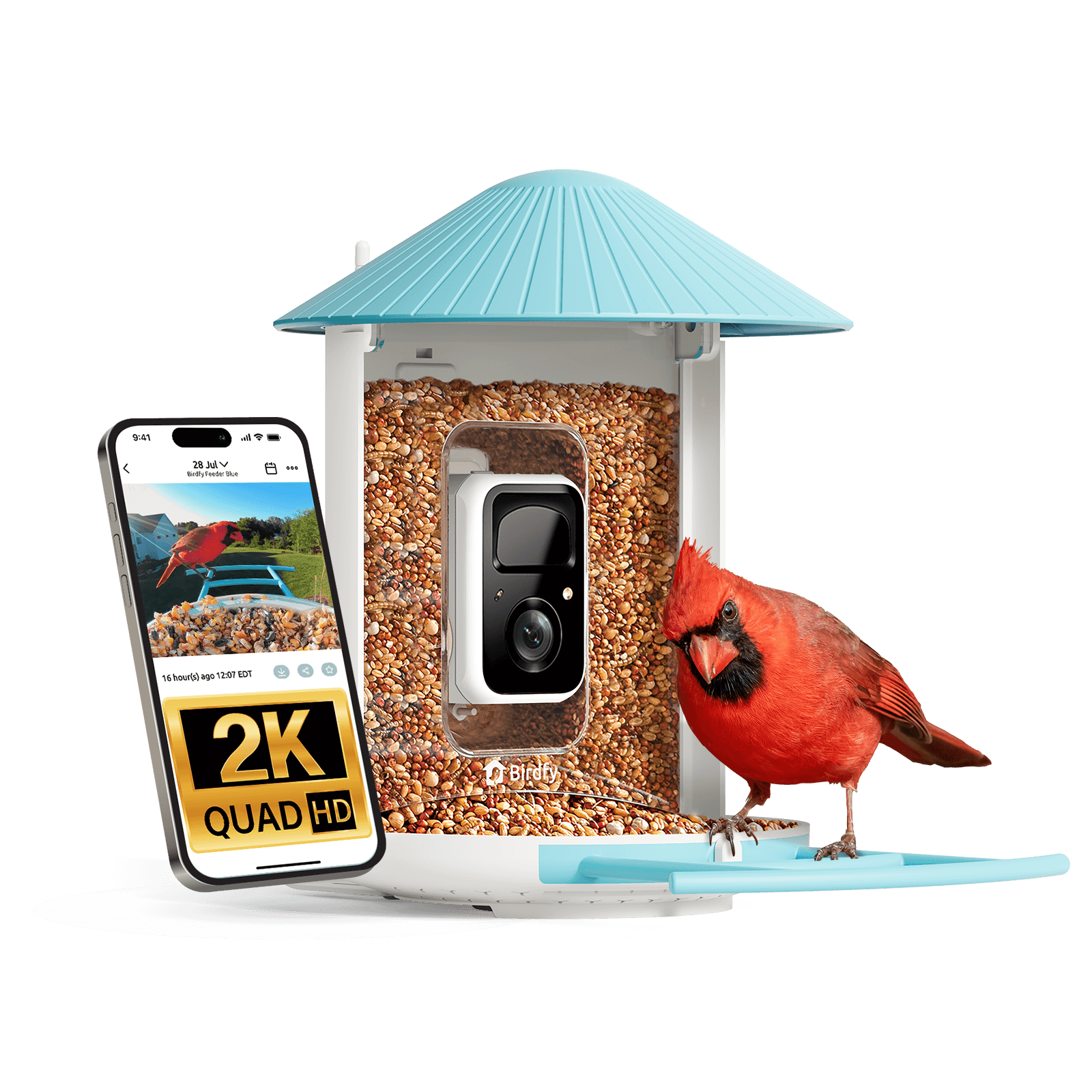 Birdfy Feeder - AI-Powered Smart Bird Feeder with Camera