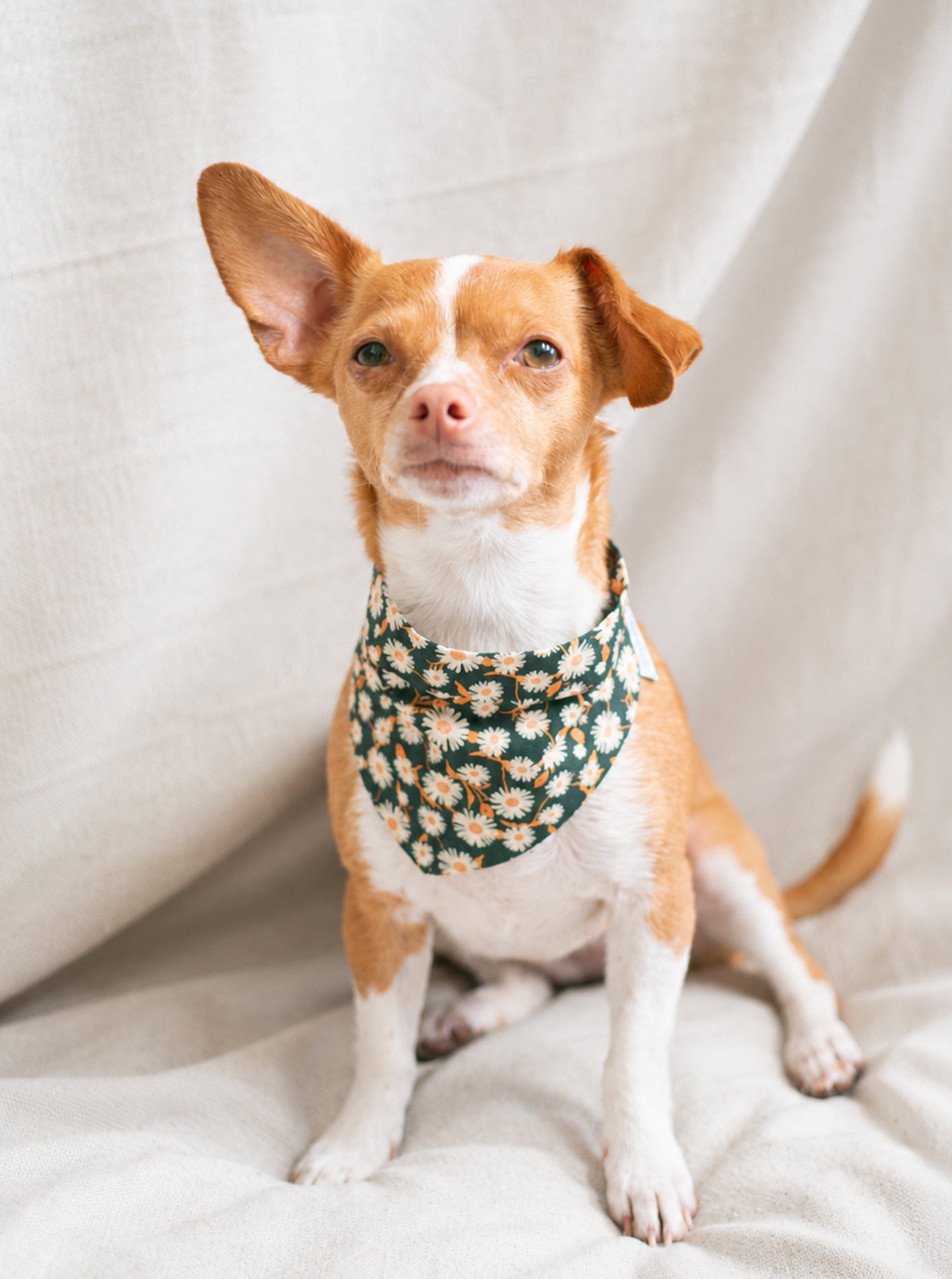 FLORAL BANDANA