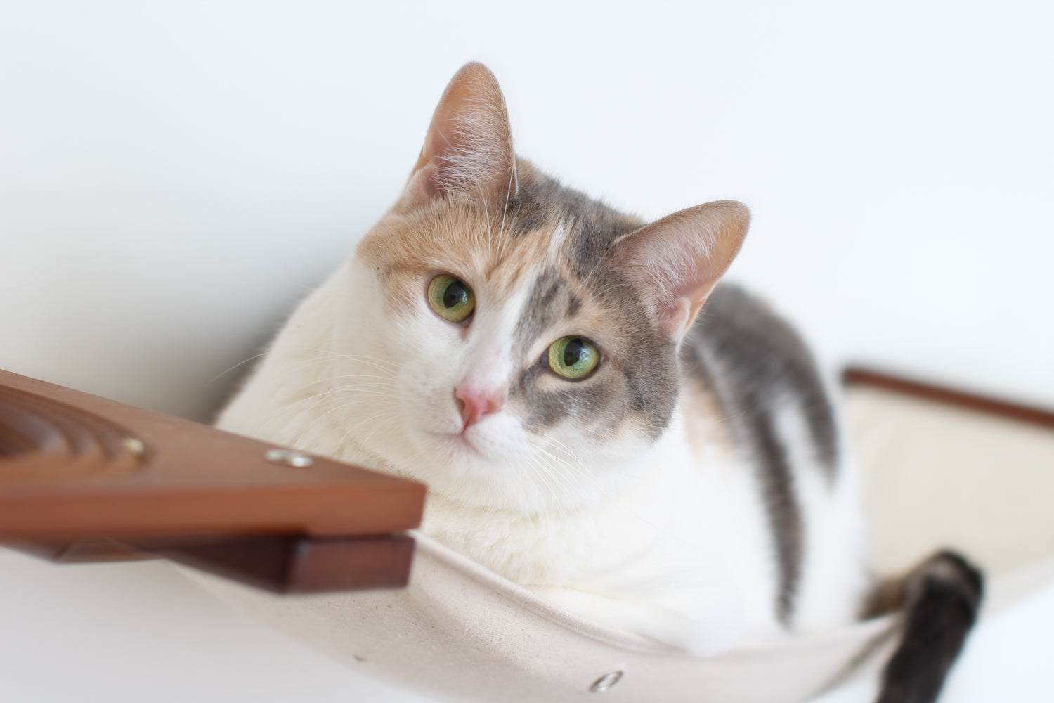 Cat Maze Wall - 3 Tier Cat Tree