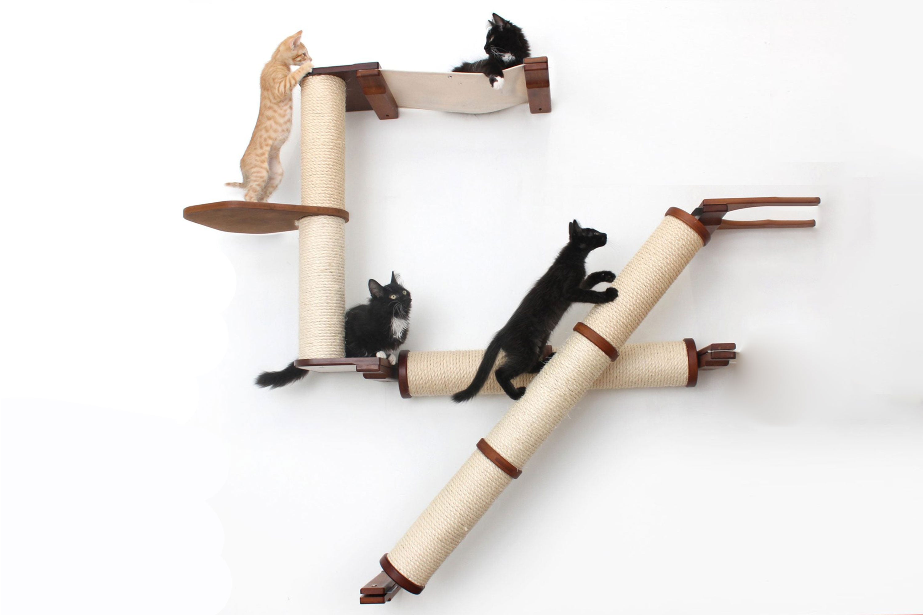 The Crossroads - Cat Wall Scratcher - Tree with Ramp