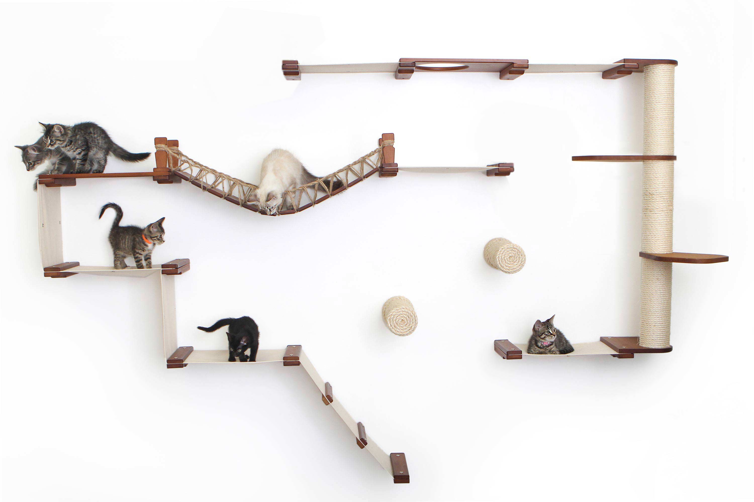 The Juggernaut - Indoor Cat Playground for Wall