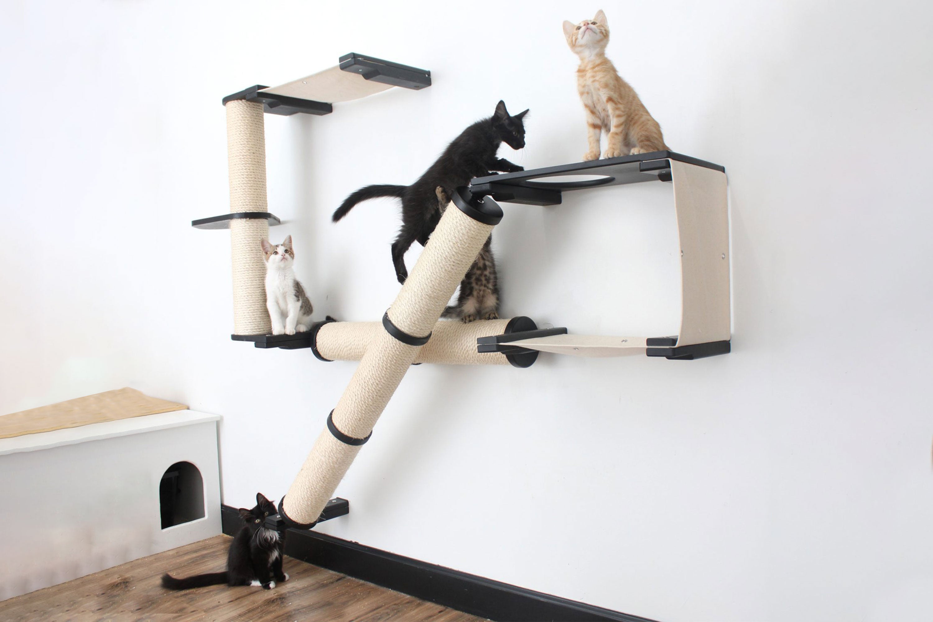 The Crossroads - Cat Wall Scratcher - Tree with Ramp