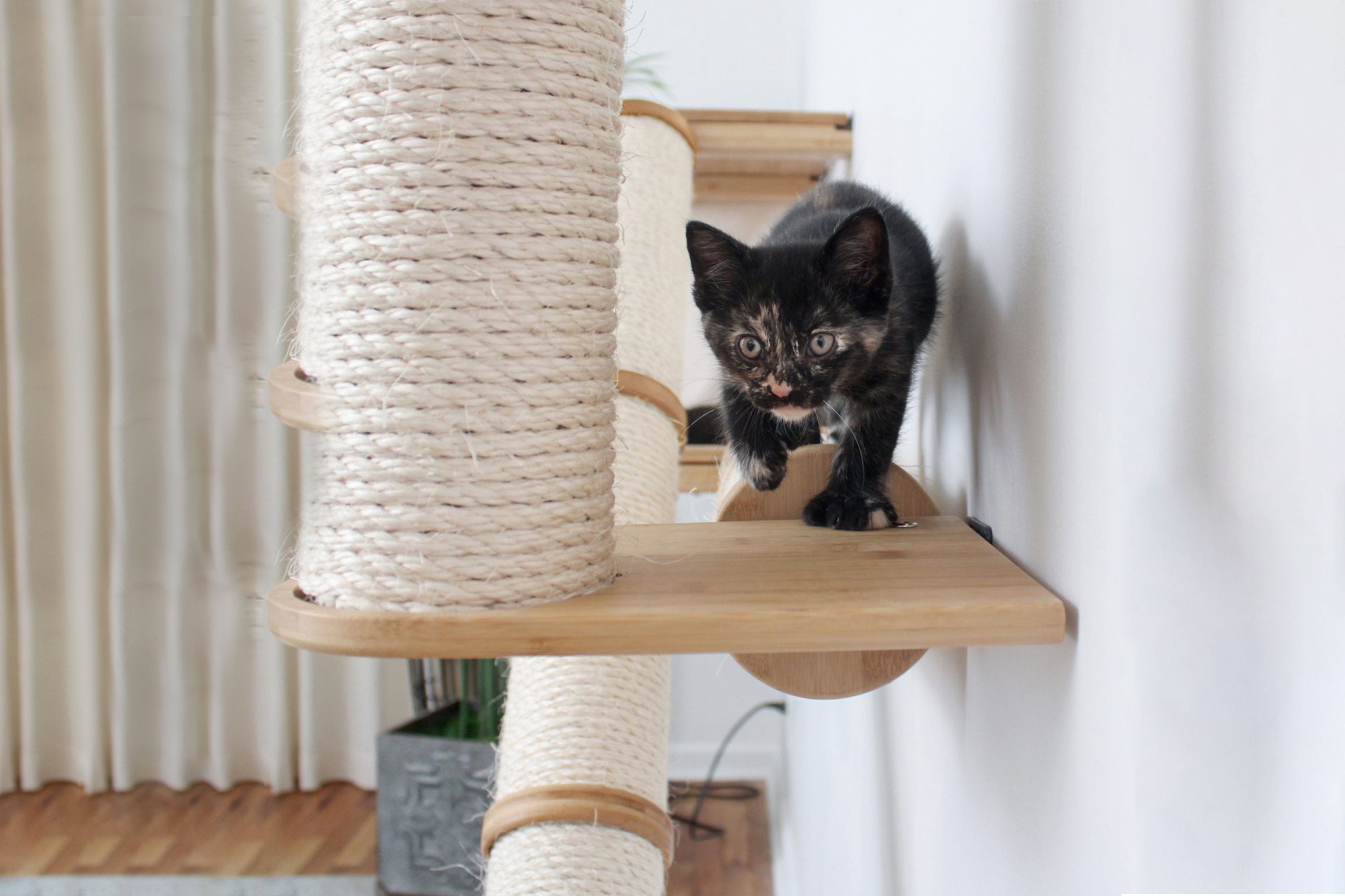 The Crossroads - Cat Wall Scratcher - Tree with Ramp