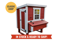 Medium Chicken Coop - Up to 10 Chickens