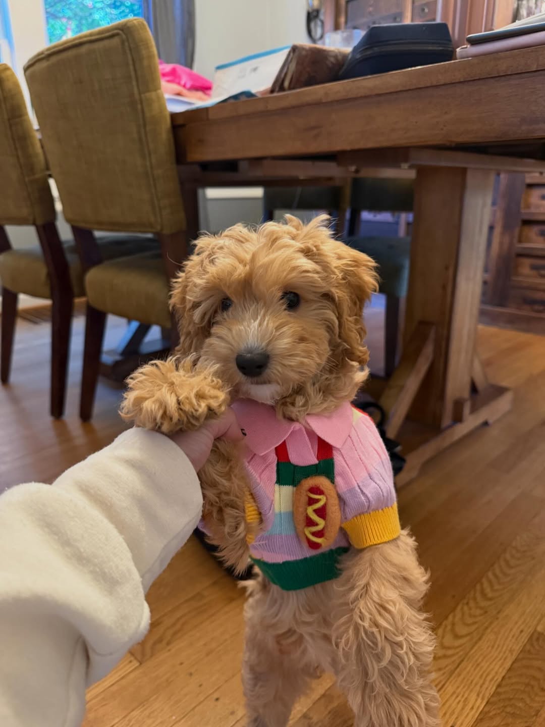 Found My Animal Hotdog 3D Icon Sweater