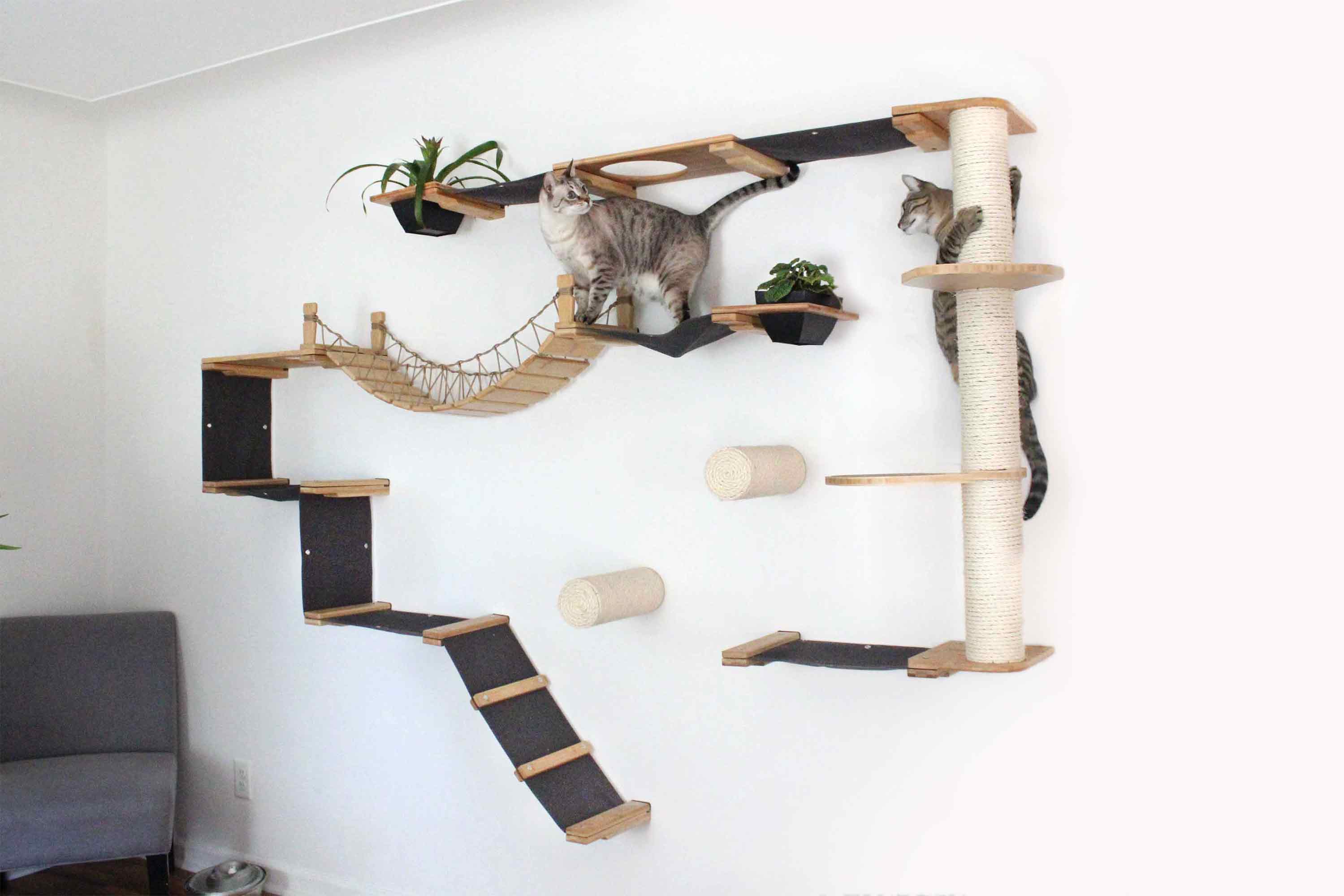 The Juggernaut - Indoor Cat Playground for Wall