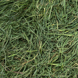 Rabbit Hole Hay Ultra Premium Soft Orchard Grass