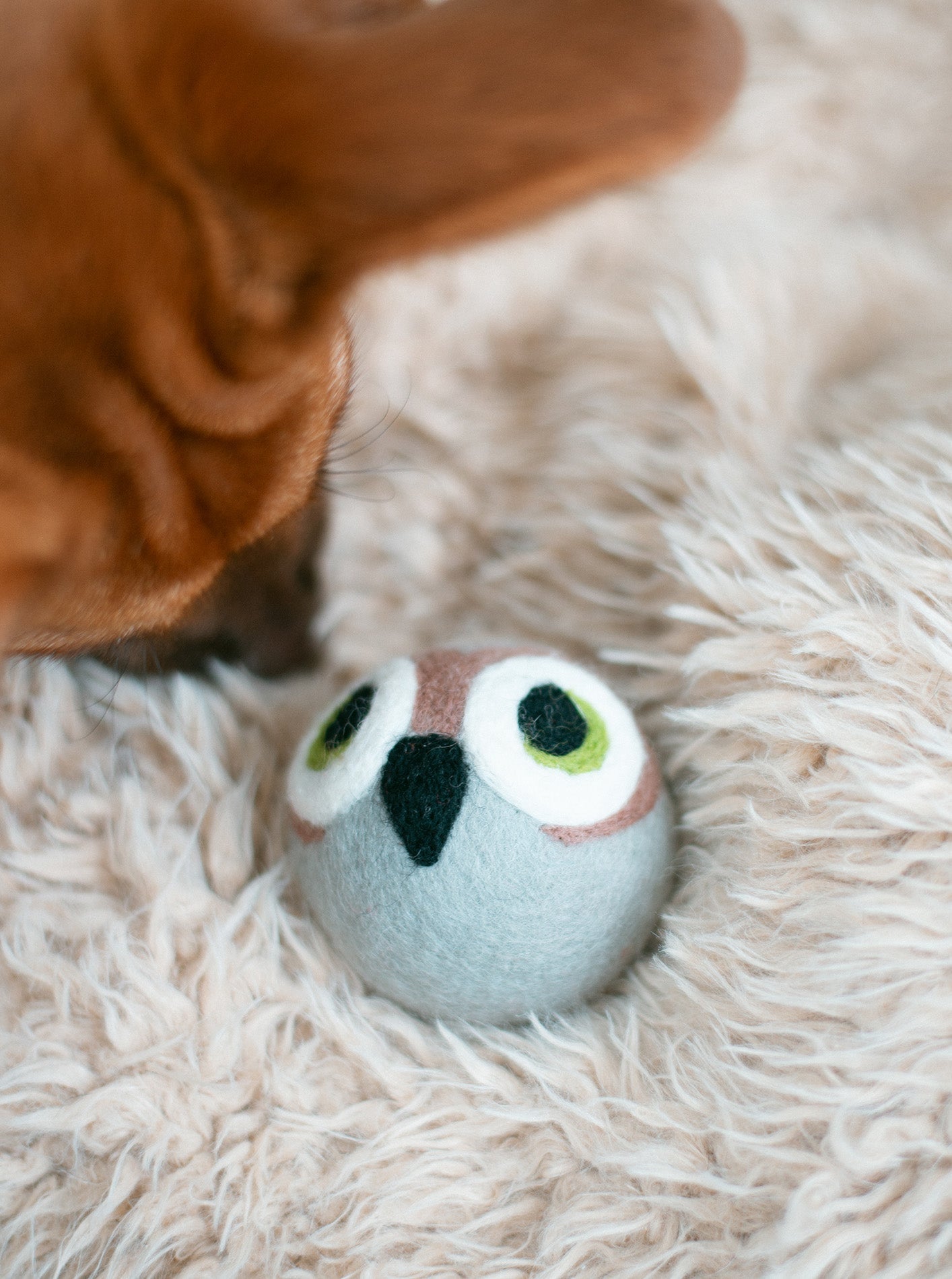 WISE OLD OWL BEASTBALL