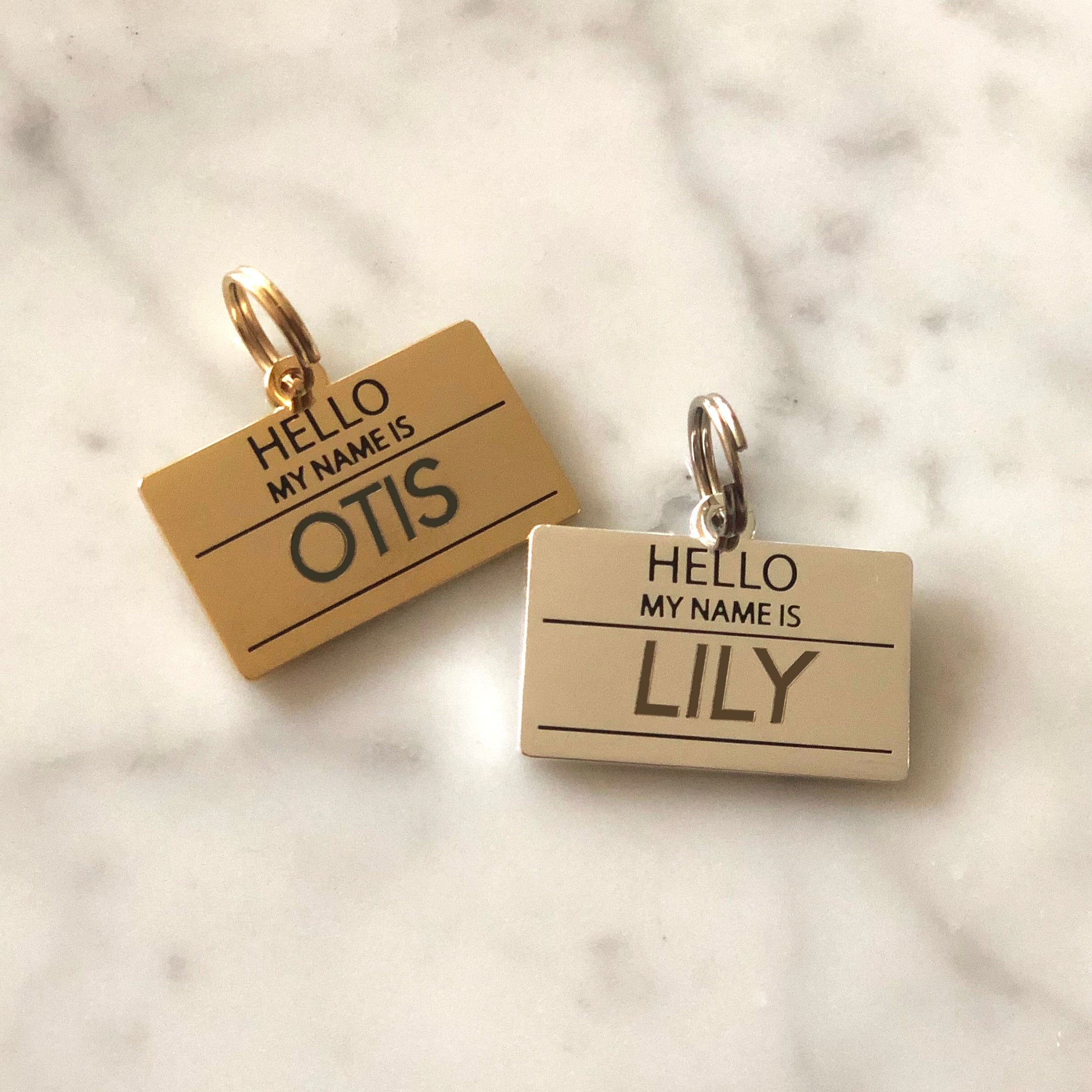 Hello My Name is Blank - Gold - Pet ID Tag