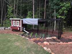 Walk-In 15 ft. Chicken Run (6'6"W x 15'L x 6'3"H)