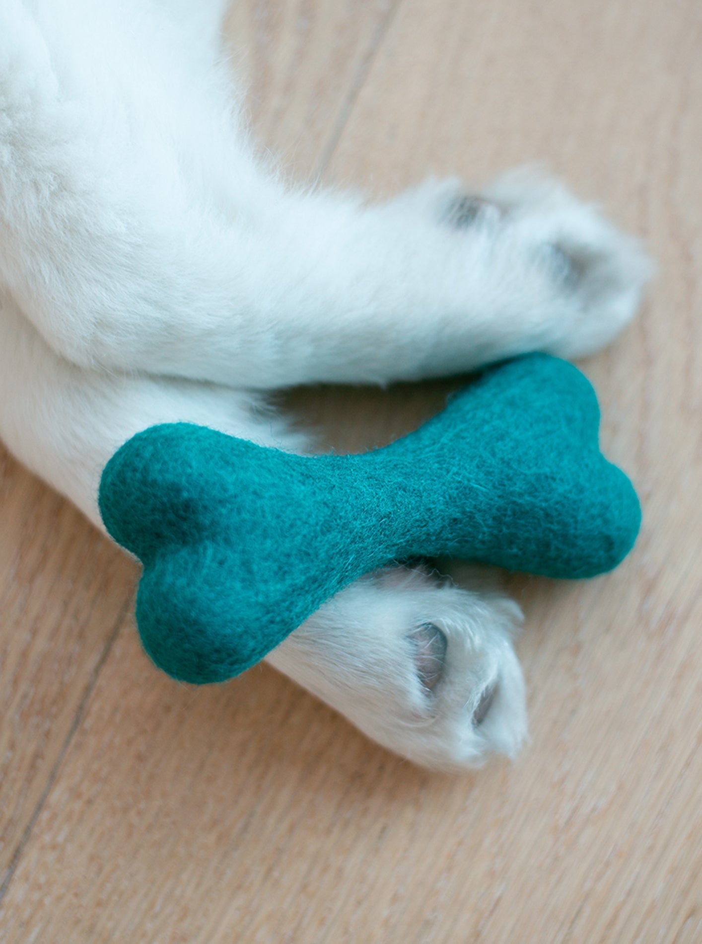 CLASSIC WOOLBONE DOG TOY