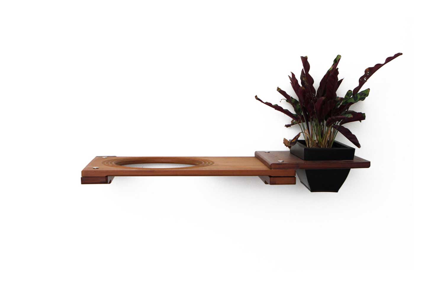 Cat Plant Stand for Wall