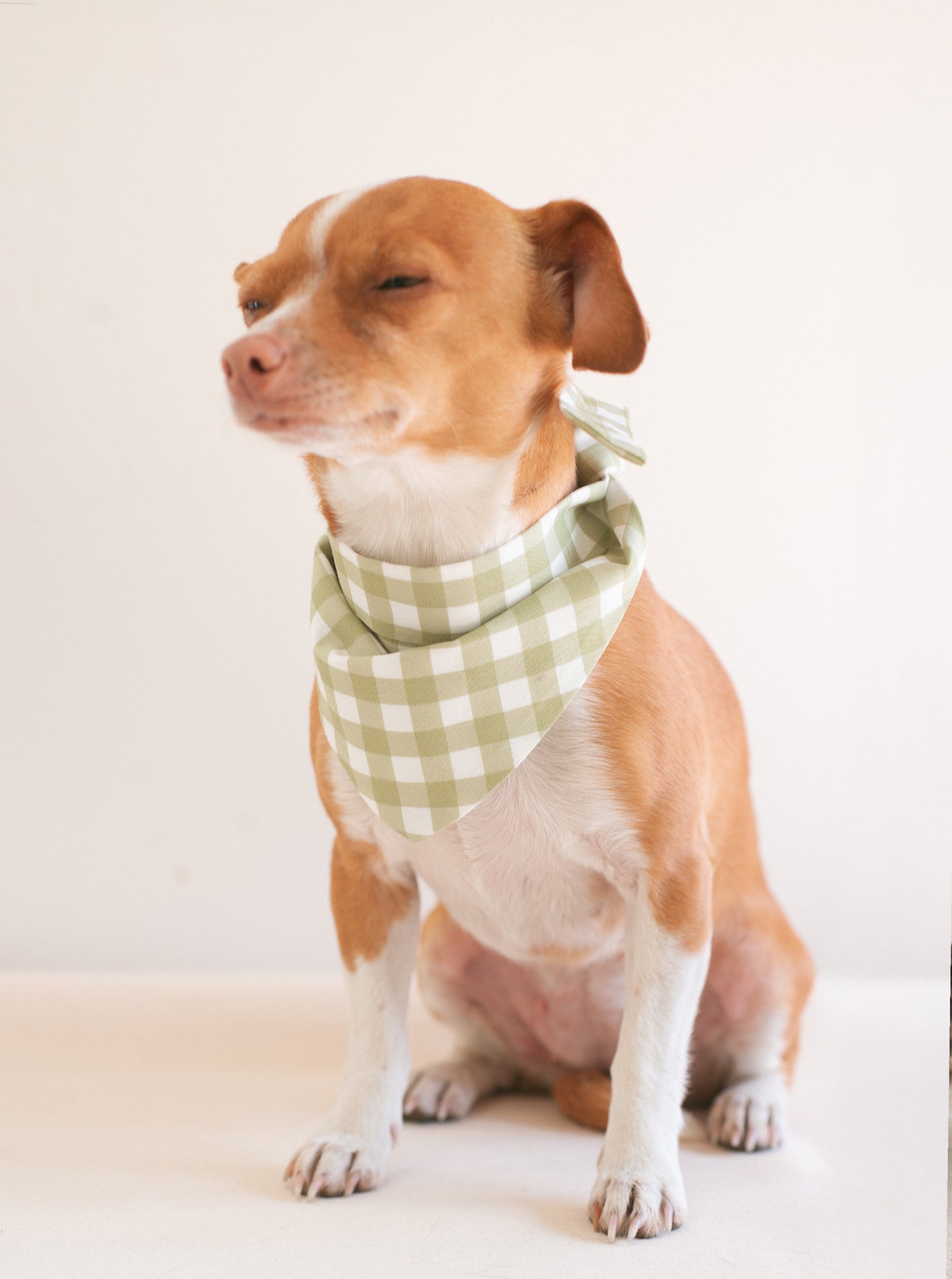 GINGHAM BANDANA