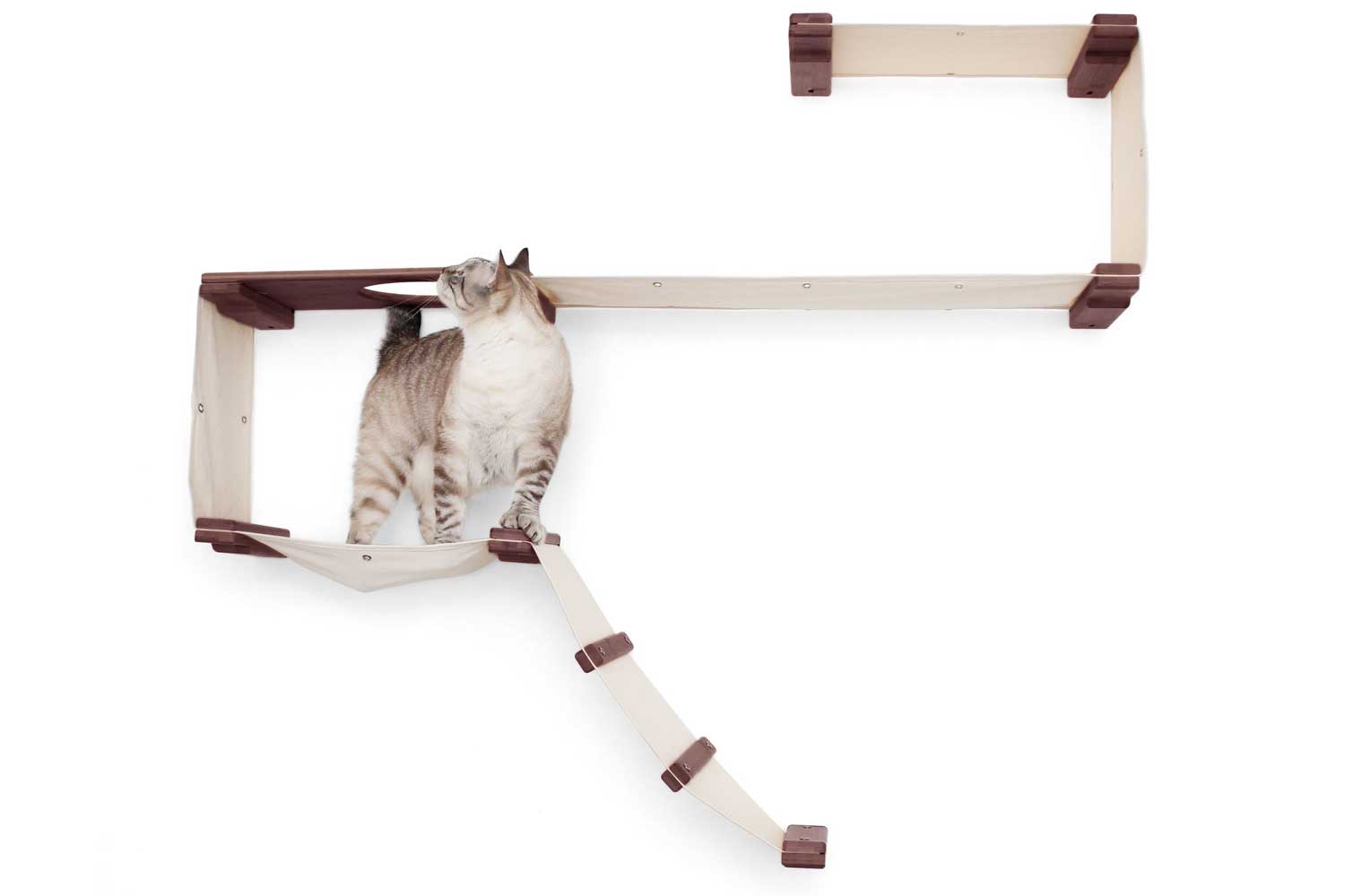 The Play - A Cat Play Wall System