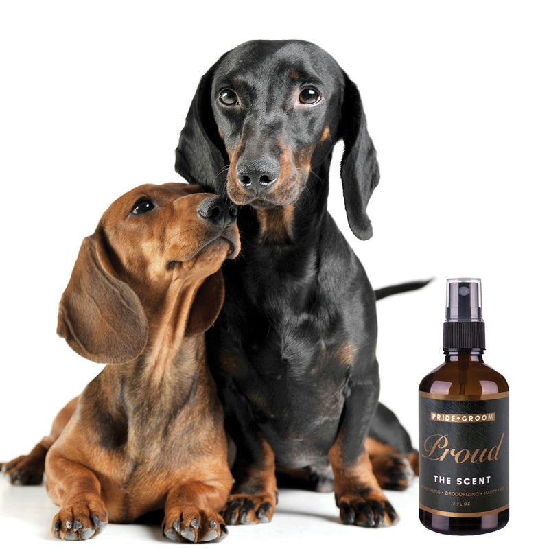 PROUD Signature Scent