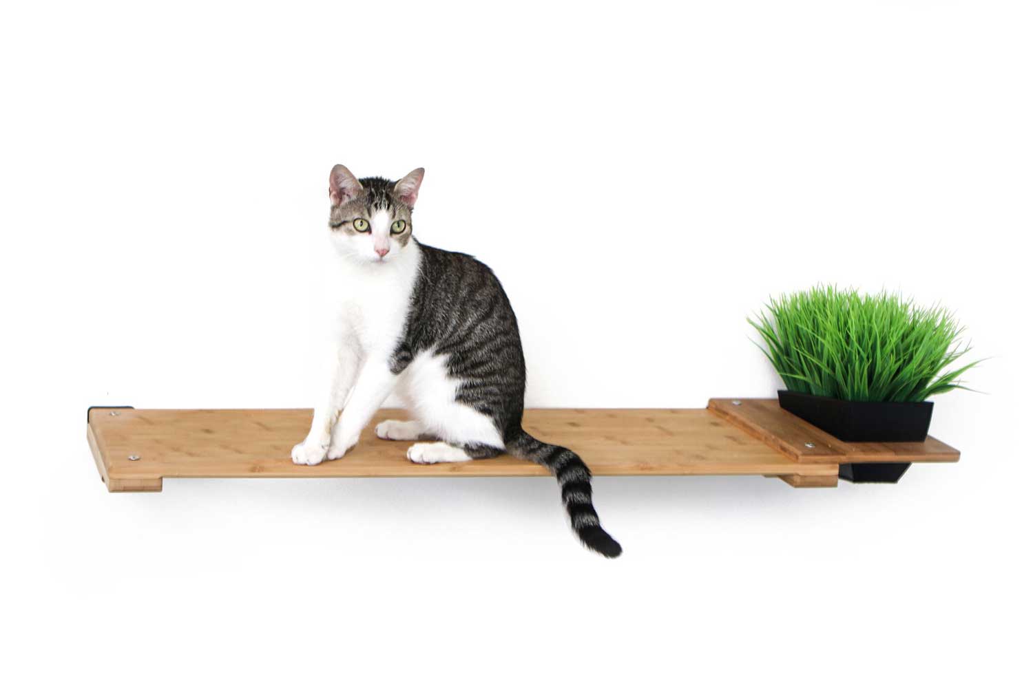 Cat Plant Stand for Wall