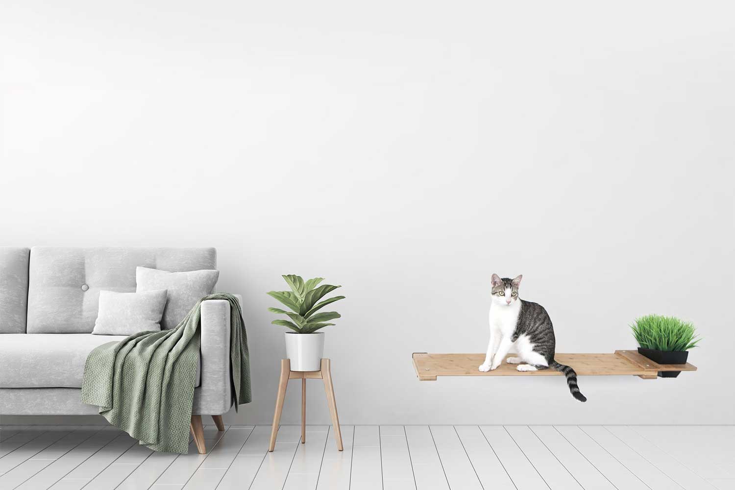 Cat Plant Stand for Wall