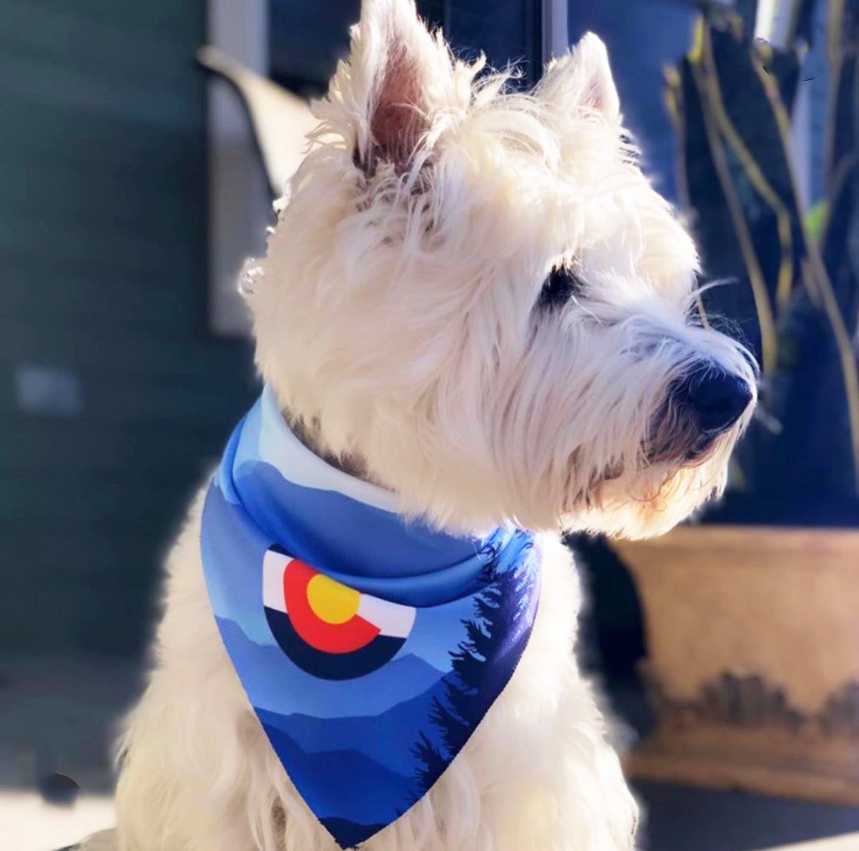Walk-e-Woo Sport Bandana - Colorado Mountains