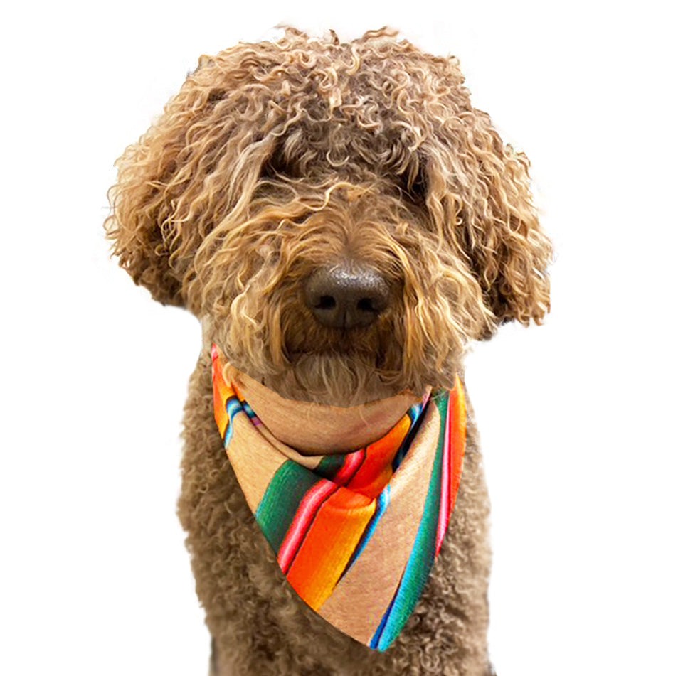 Walk-e-Woo Sport Bandana - Peace