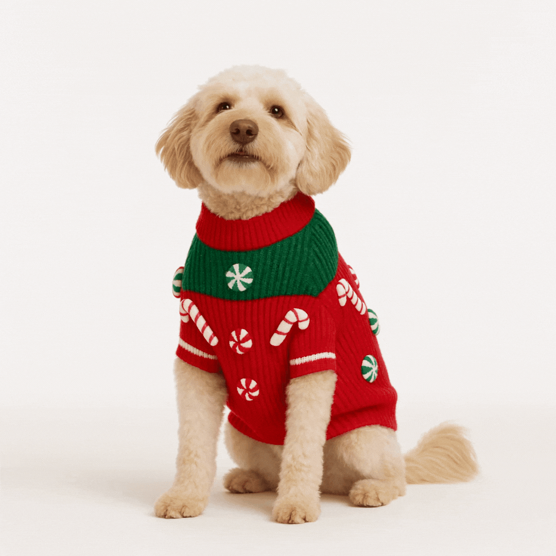 Found My Animal Peppermint Candy 3D Icon Sweater