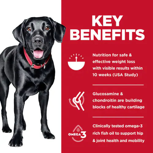 Hill's Science Diet 成年犬完美体重和关节支持大型犬干粮，鸡肉配方，25 磅袋装