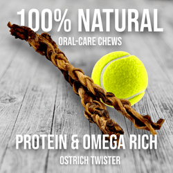 Ostrich Tendon Twister (16" x 2.5" x 1"): The Satisfying, All-Natural Chew for Dental Health & Joint Support