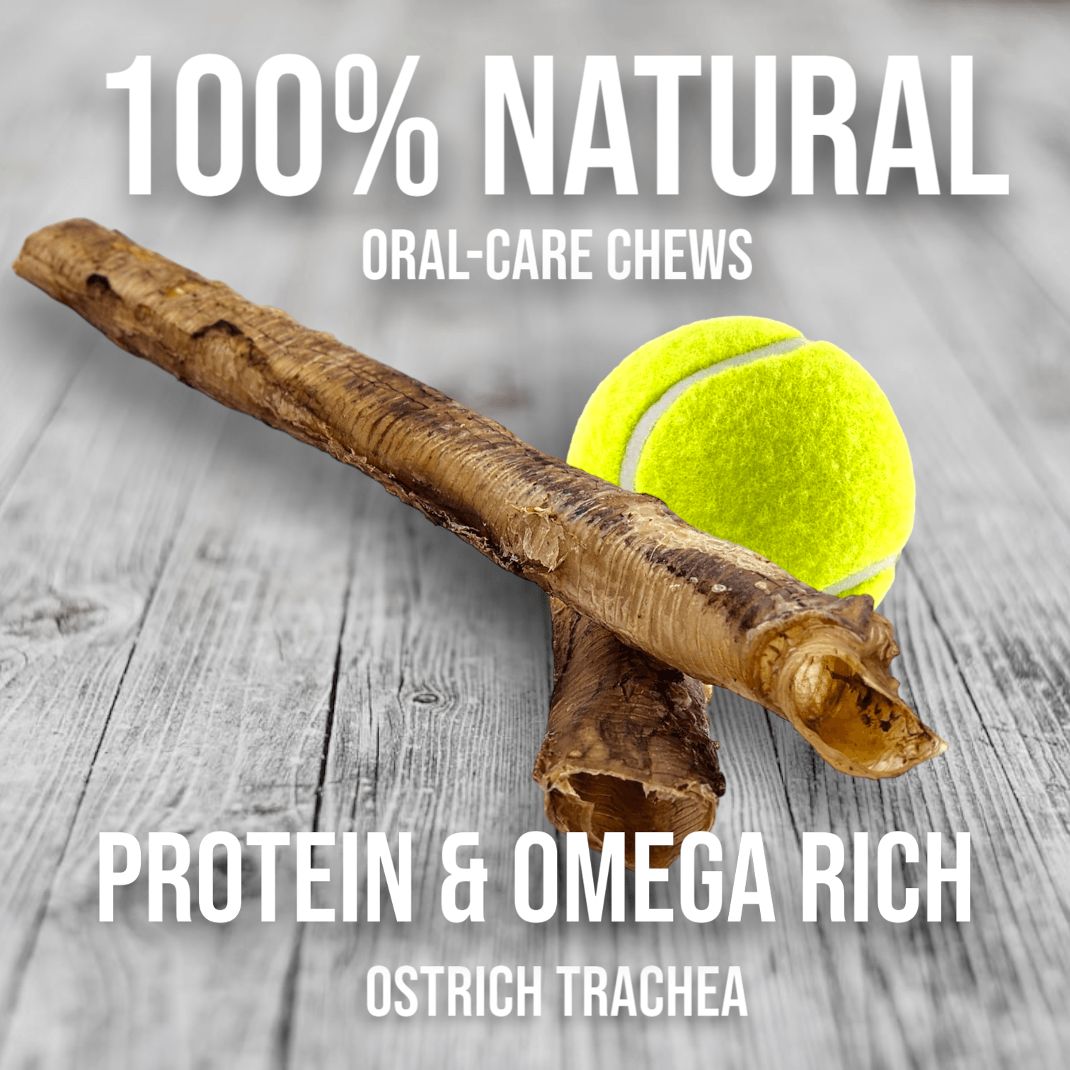 Crunchy Ostrich Trachea Whole. Light-weight, Natural Dog Chew Treat by Savannah Pet Food (12