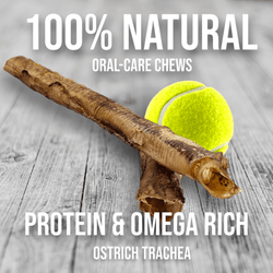 Crunchy Ostrich Trachea Whole. Light-weight, Natural Dog Chew Treat by Savannah Pet Food (12")