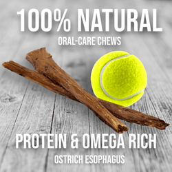 Crunchy Ostrich Esophagus Pieces: The Light & Airy, All-Natural Treat for Small to Medium Dogs (0.5oz)