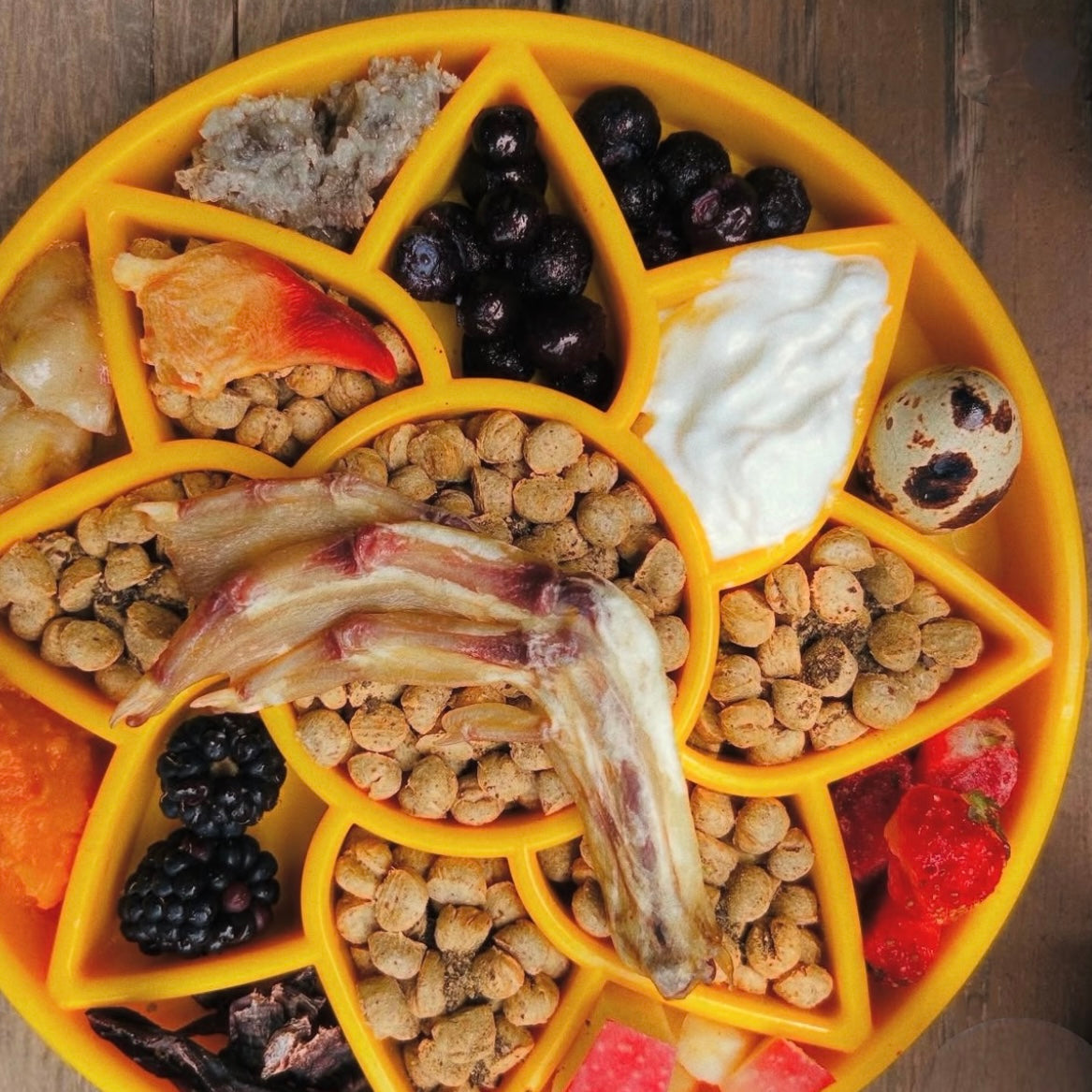 Sunflower eTray Shallow Slow Feeder Dog Bowl for Enrichment | USA Made