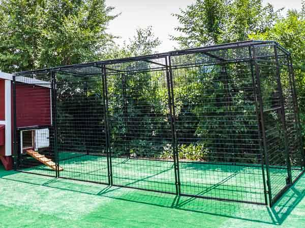 Walk-In 15 ft. Chicken Run (6'6