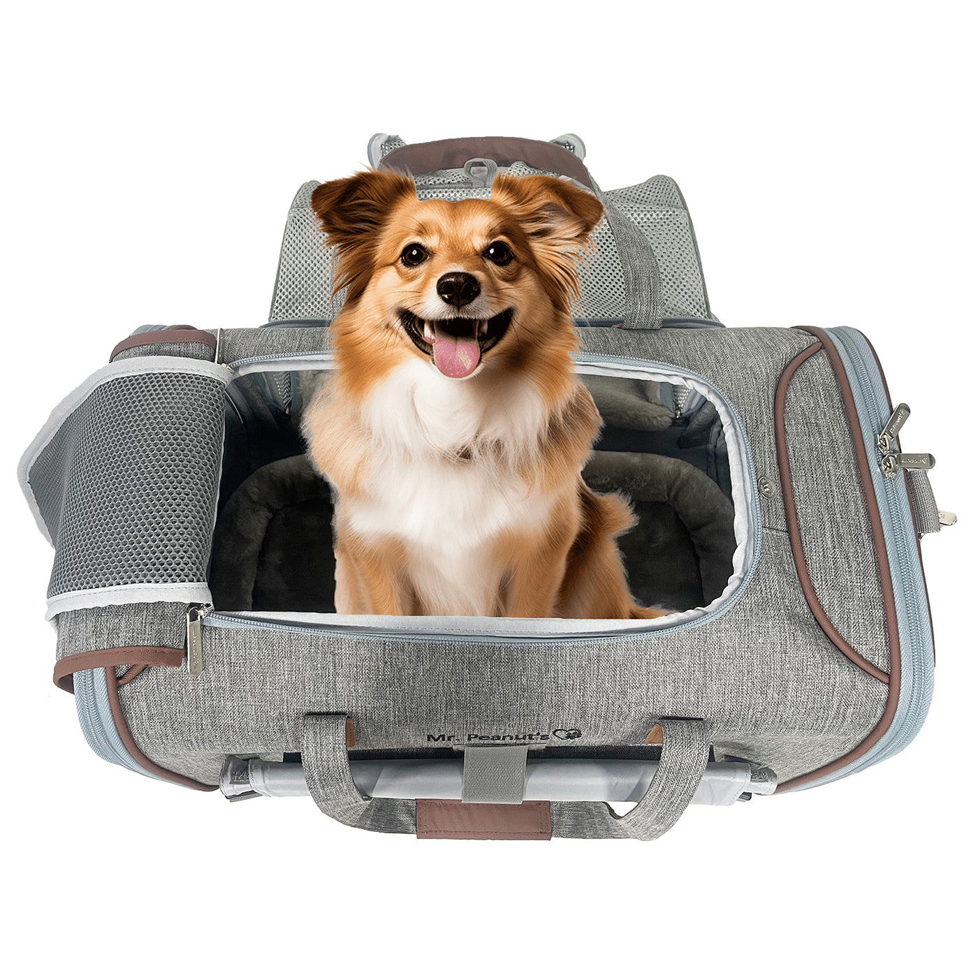 Mr. Peanut's Gold Series Standard Size Airline Compliant Expandable Pet Carrier V3.0