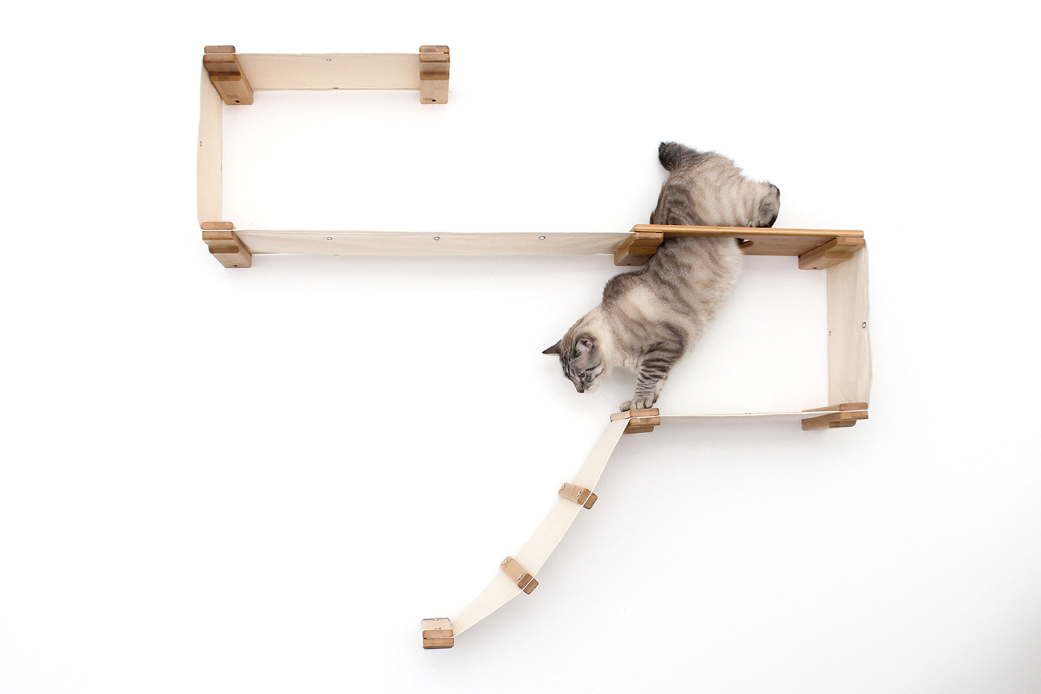 The Play - A Cat Play Wall System