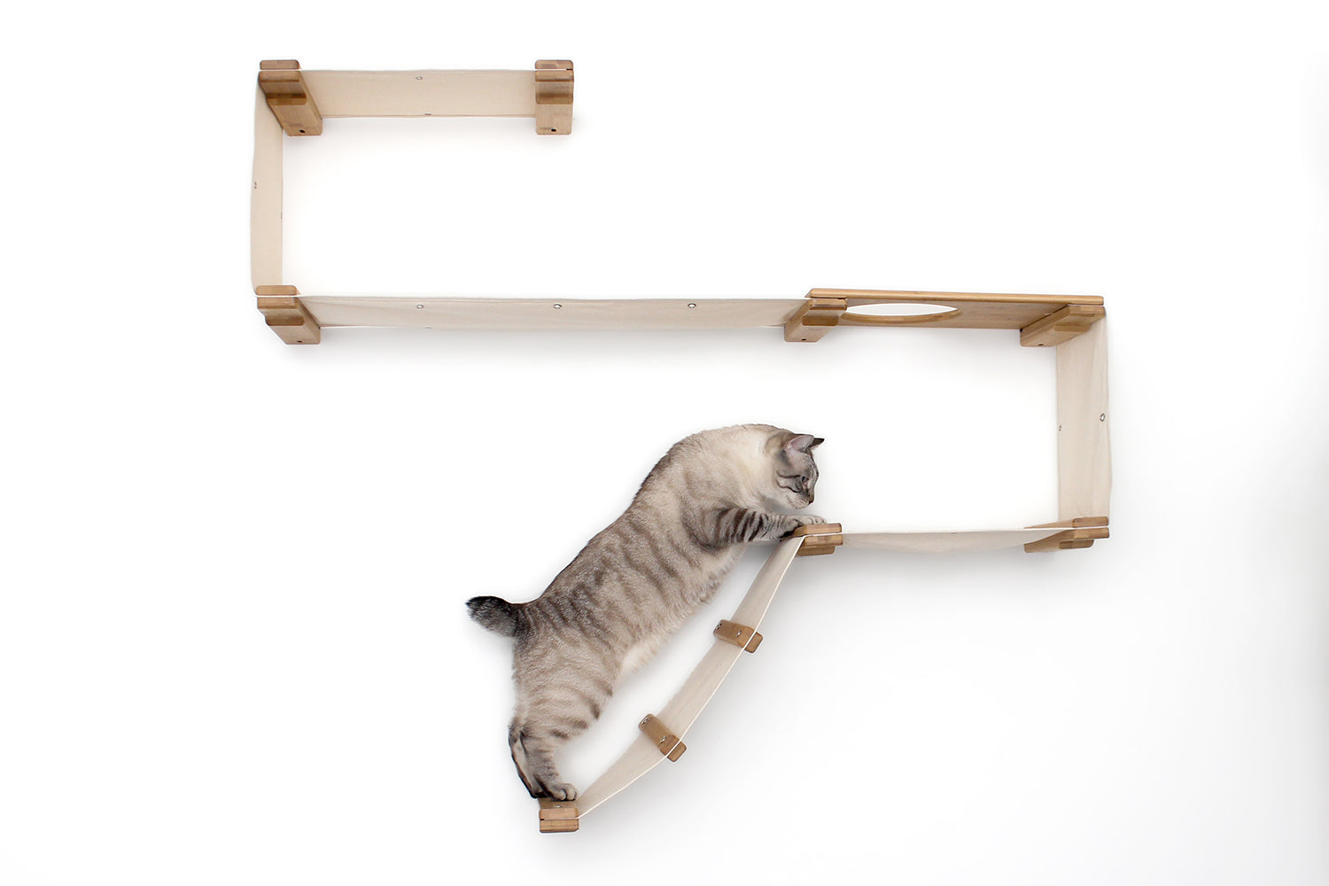 The Play - A Cat Play Wall System