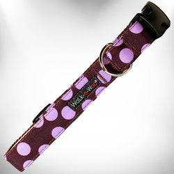 Polka Dot Dog Collars, Leads, and Bows on Brown - 4 Styles