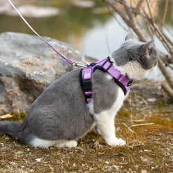 Mr. Peanut's PurrTrek Reflective Cat Harness with Matching Leash