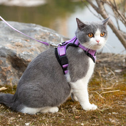 Mr. Peanut's PurrTrek Reflective Cat Harness with Matching Leash